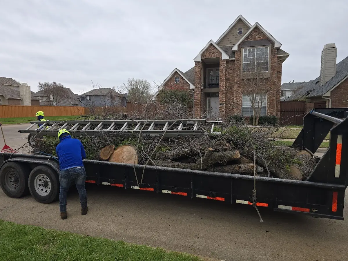 Expert Lot Clearing with proper safety equipment in Star
